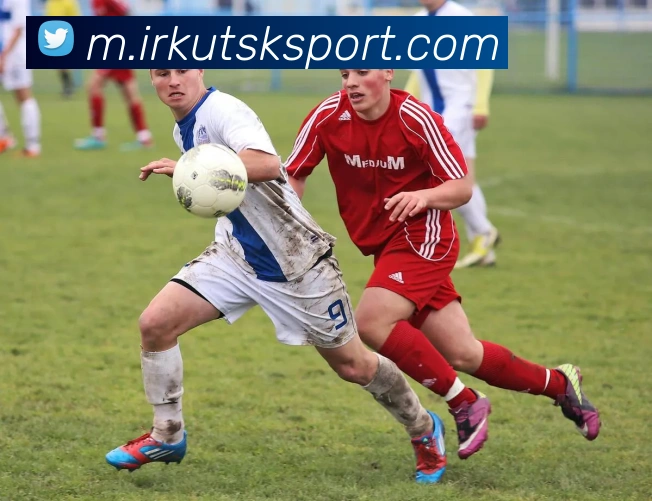 平台展示图